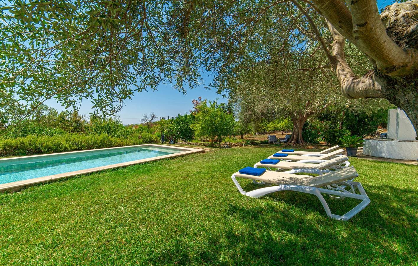 Foto 8 von 36: Gemütliche Wohnung mit Pool, Küche und AC in der Nähe von Binissalem Stadt