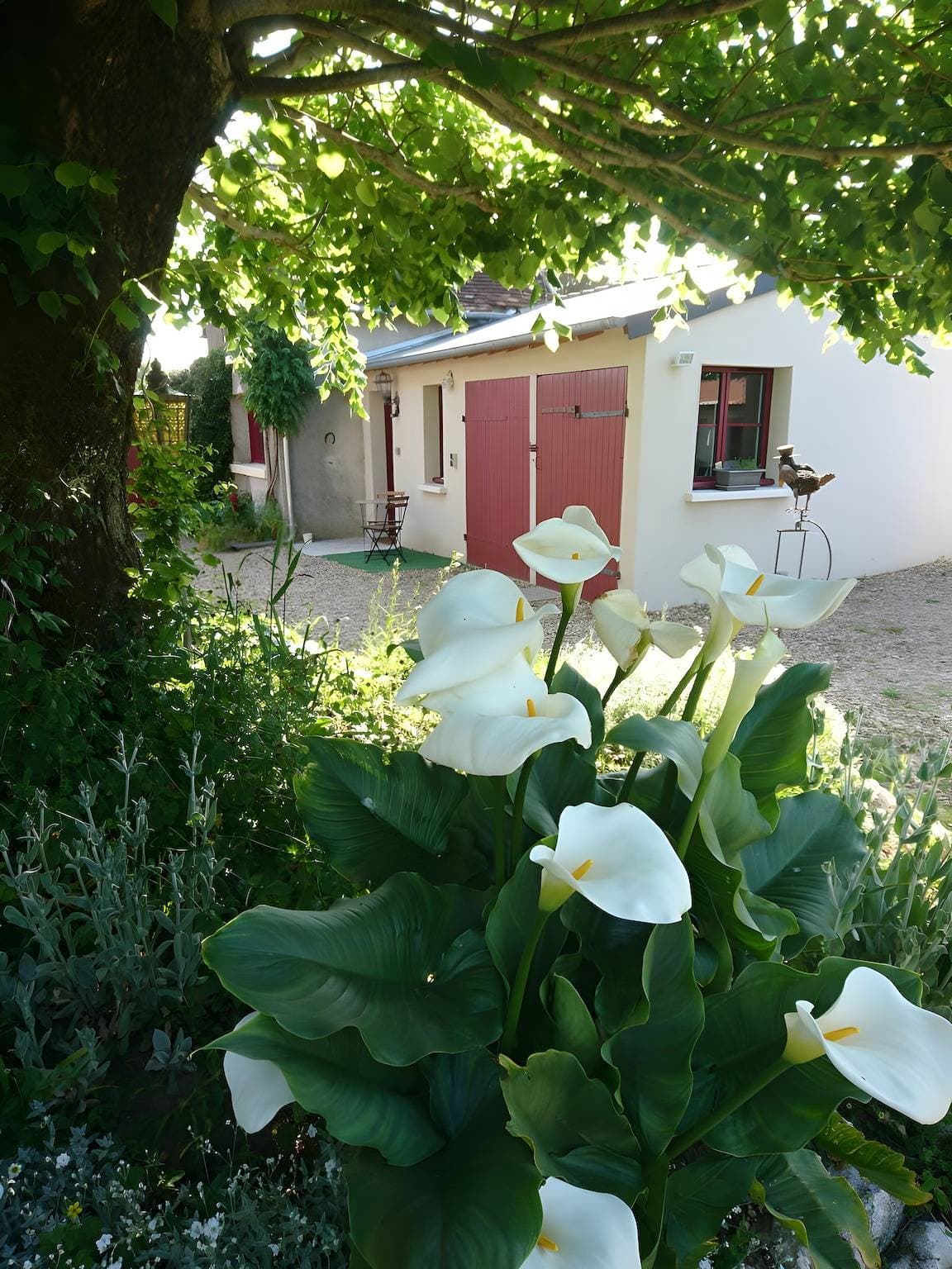 Foto 6 von 10: Gästezimmer Le Clos Ilou – barrierefrei mit privatem Parkplatz