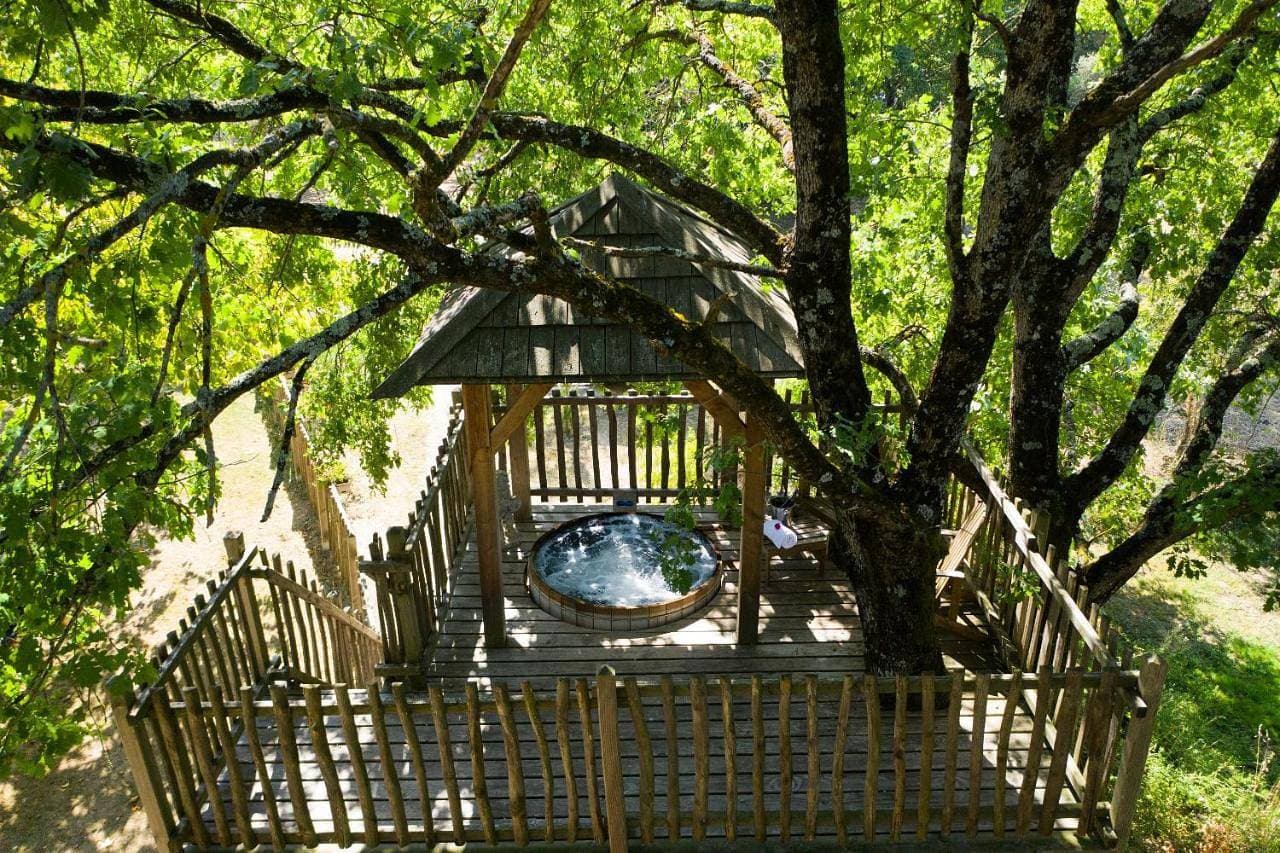 La Ferme de Sirguet - Cabane Jardin & Spa 1