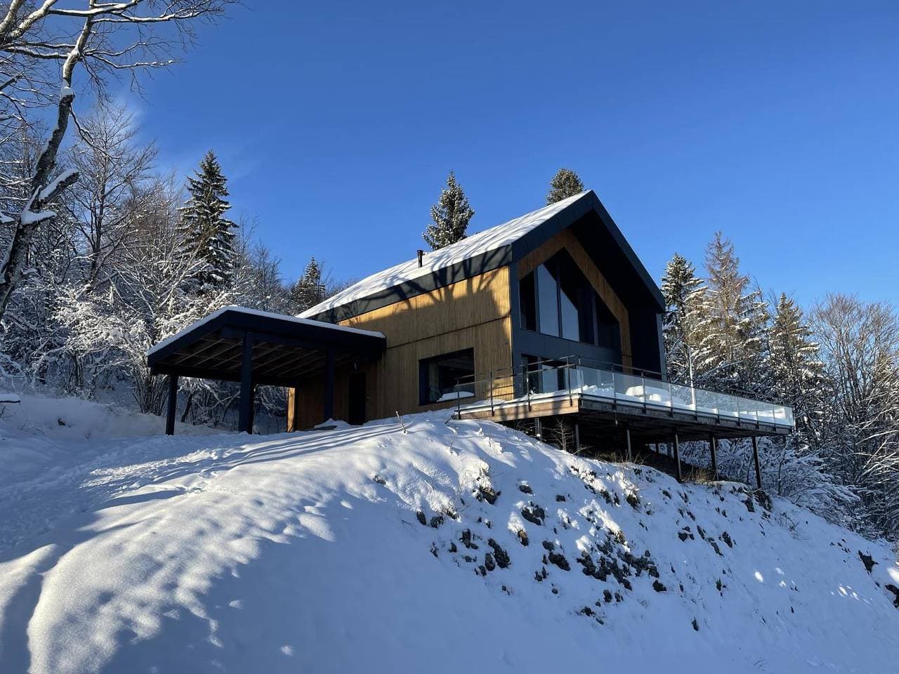 Chalet Foncine Peak 1