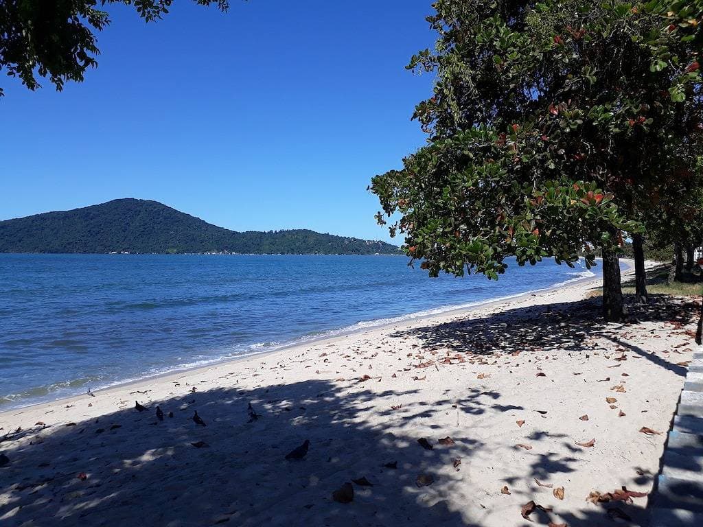Foto 10 von 26: Triplex Cond Haus, - 4 Schlafzimmer - Pool - 100 M Vom Strand - Klimaanlage