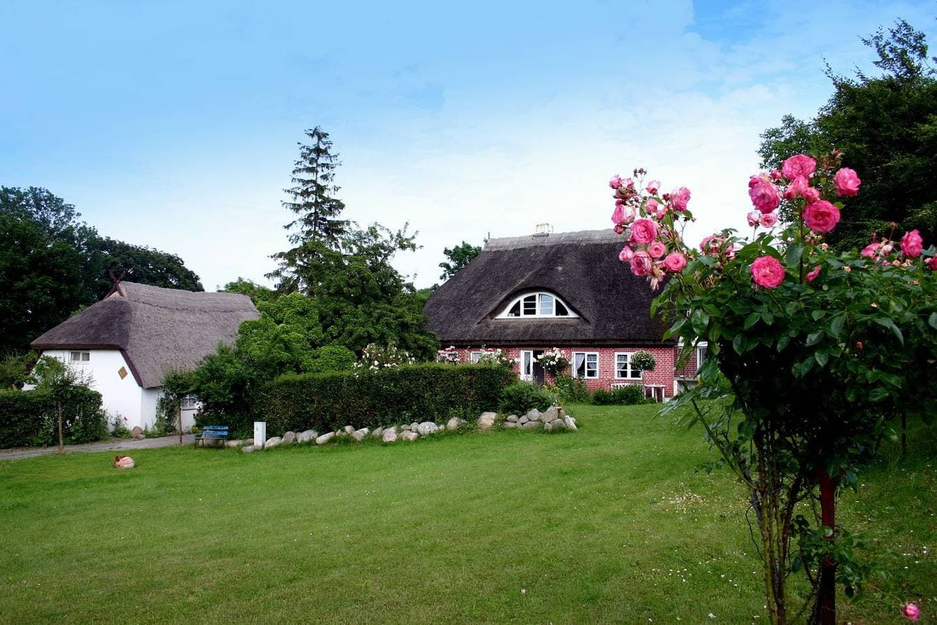 Foto 11 von 14: Im Feriengarten - Ferienwohnung Erdgeschoß