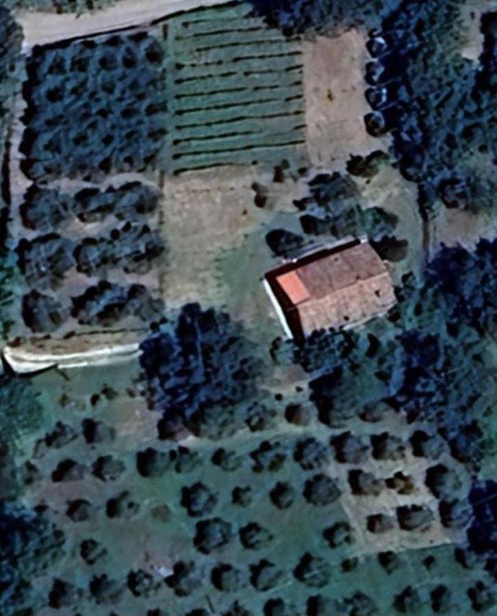 Foto 4 von 55: Villa with Garden View