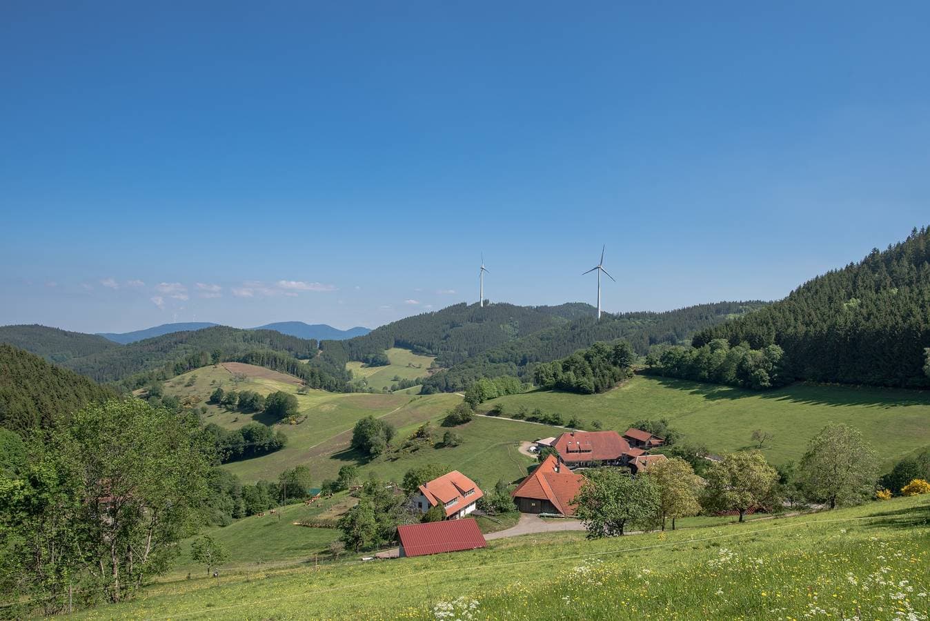 Foto 5 von 24: Ferienwohnung "Biesleblick" mit Bergblick, Gemeinschaftsgarten und WLAN