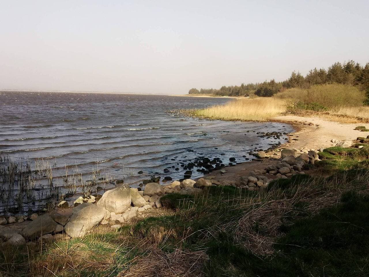 Foto 9 von 41: 6 Personen Ferienhaus in Ulfborg