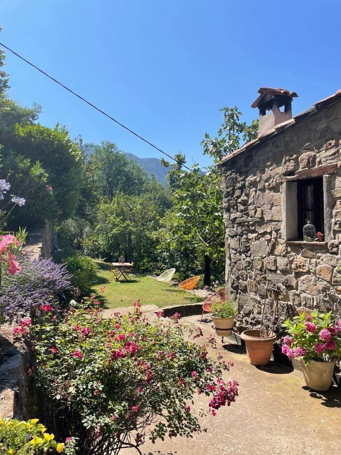 Adorable gîte - Le figuier 1