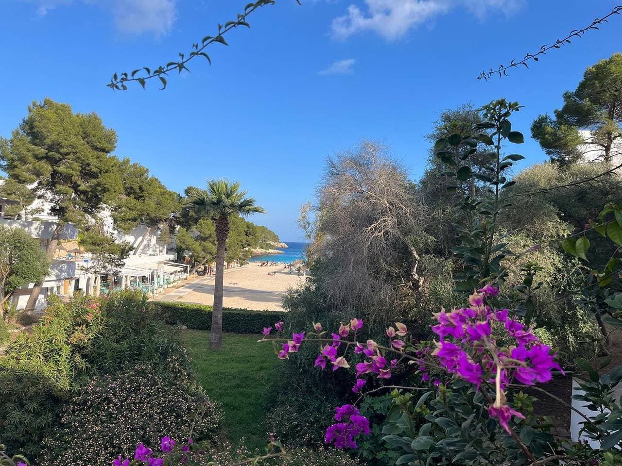 Foto 9 von 47: Ihre Traumferienwohnung in Cala D'Or an der Cala Gran für 4 Personen.