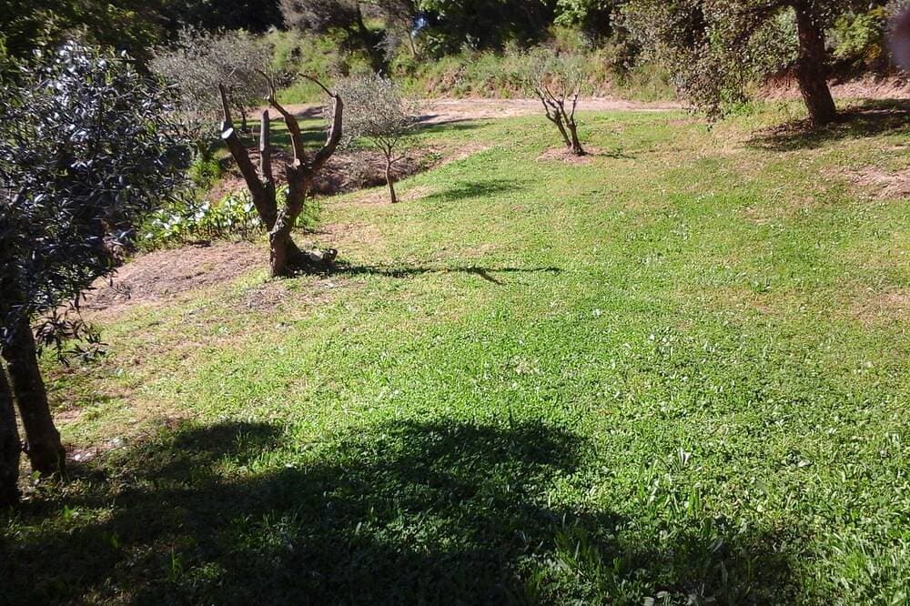 Foto 9 von 22: Frei stehende Villa in der Provence Landschaft zwischen Hyères und St. Tropez