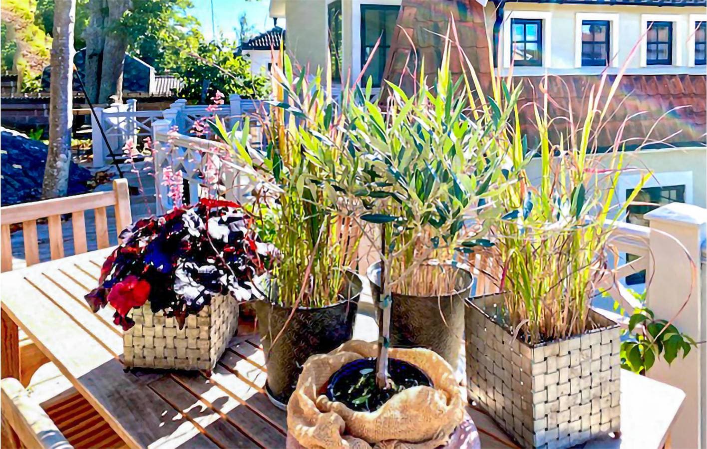 Foto 11 von 31: Ferienhaus für 6 Personen mit Garten