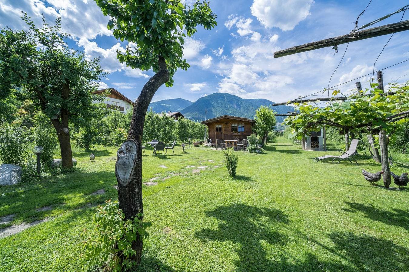 Foto 10 von 12: Ferienwohnung "Tschigat Leilichhof" mit Bergblick, WLAN, Balkon & Garten