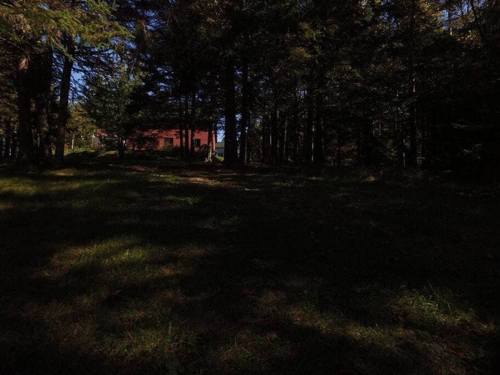 Foto 11 von 24: Bay-Side Cabin (Rossport am Meer)