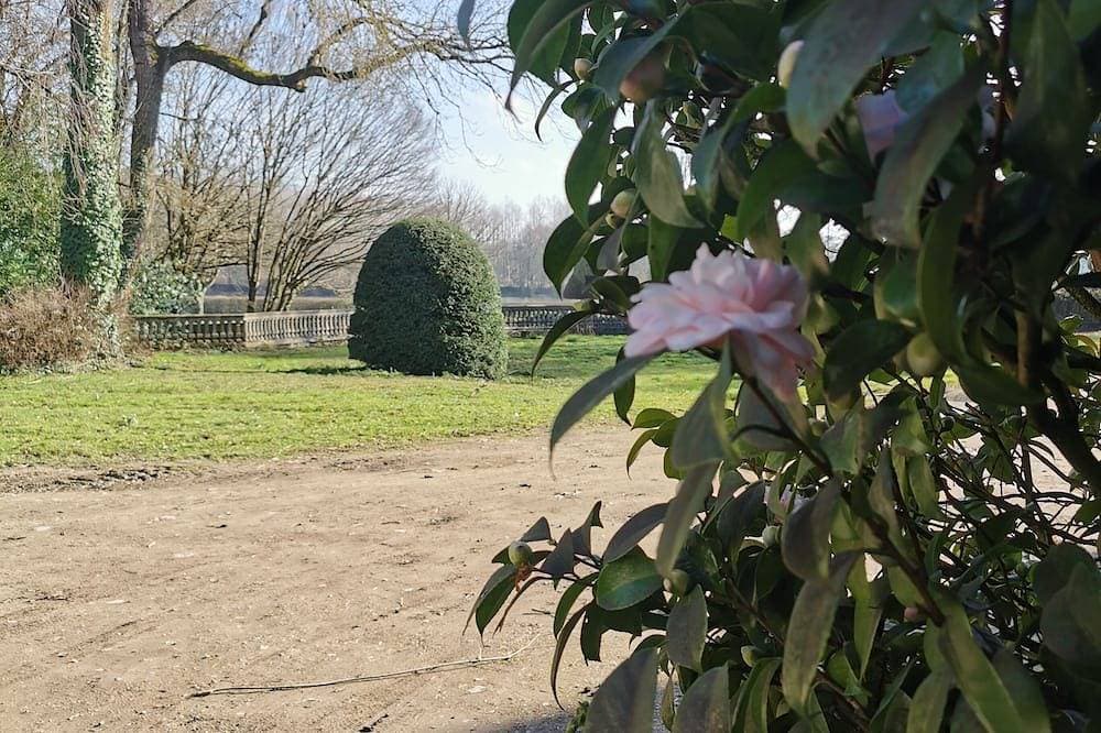 Foto 7 von 14: Gîte de L'Orangerie- Château Le Fresne