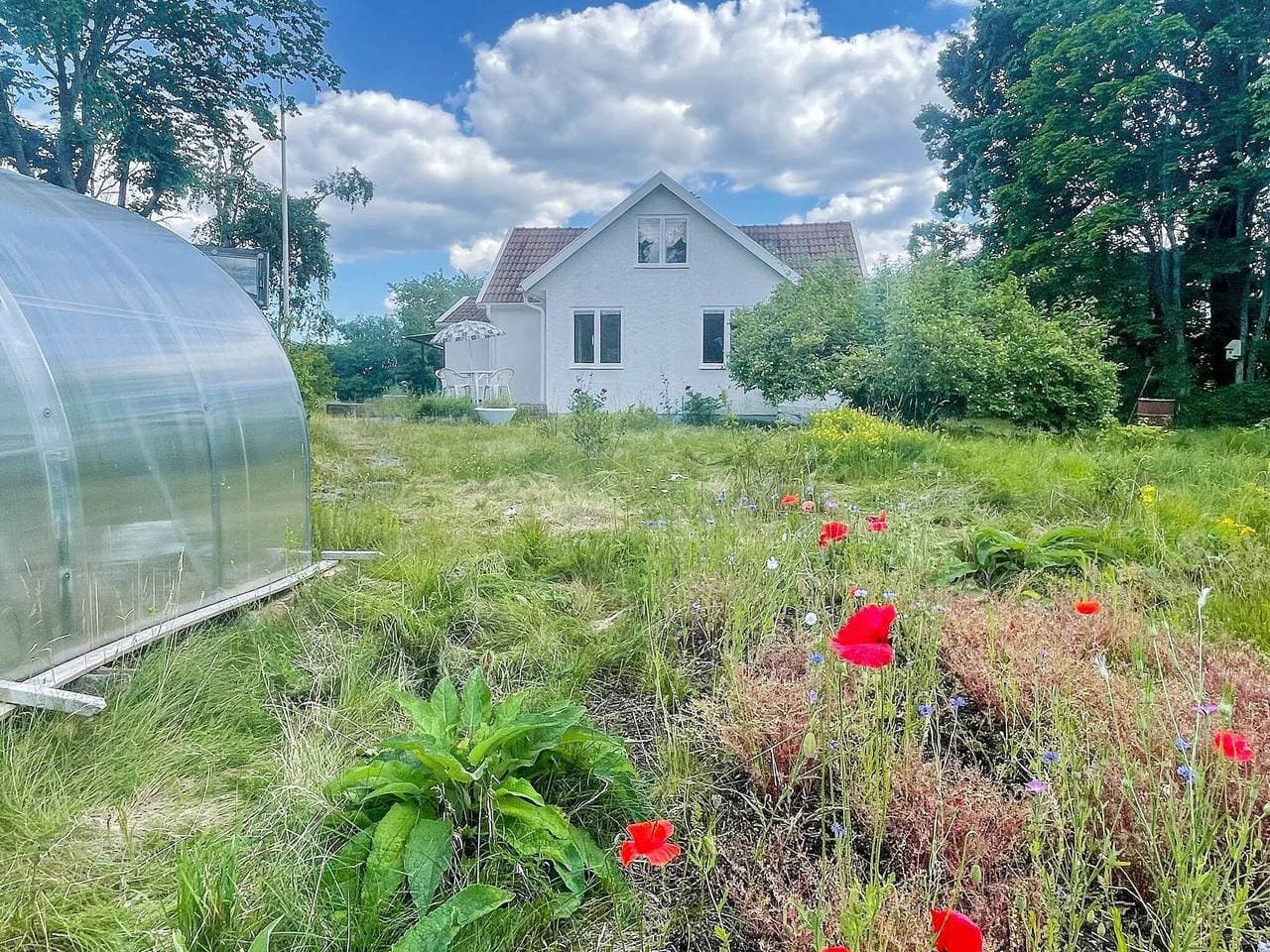 Foto 3 von 27: 5 Personen Ferienhaus in Bockara