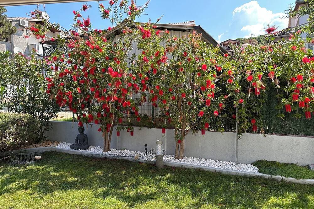 Foto 10 von 30: Rovinj - Borik, schöne Fe-Wo Lea für 2-4 Personen mit Garten - 5 min. vom Strand