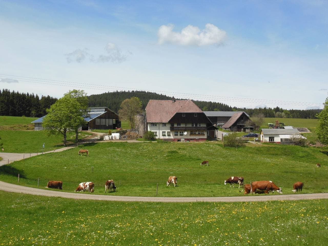 Foto 12 von 33: Ferienwohnung Weideblick Unterkunft mit Hund und Blick in die Natur, Sitzplatz im Garten mit Grill