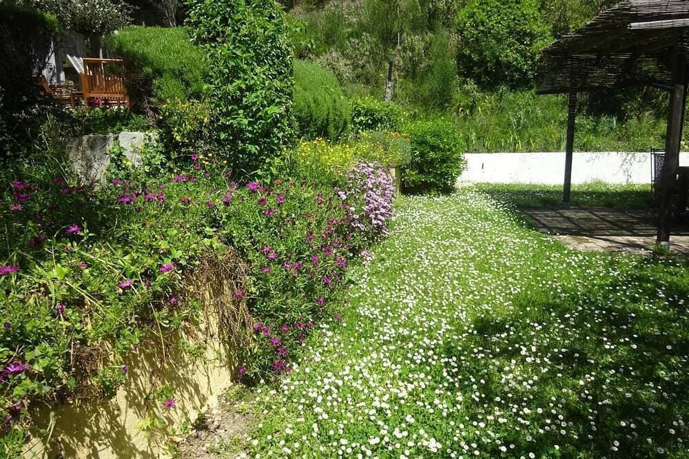 Foto 12 von 26: Le Dionel - Colomars