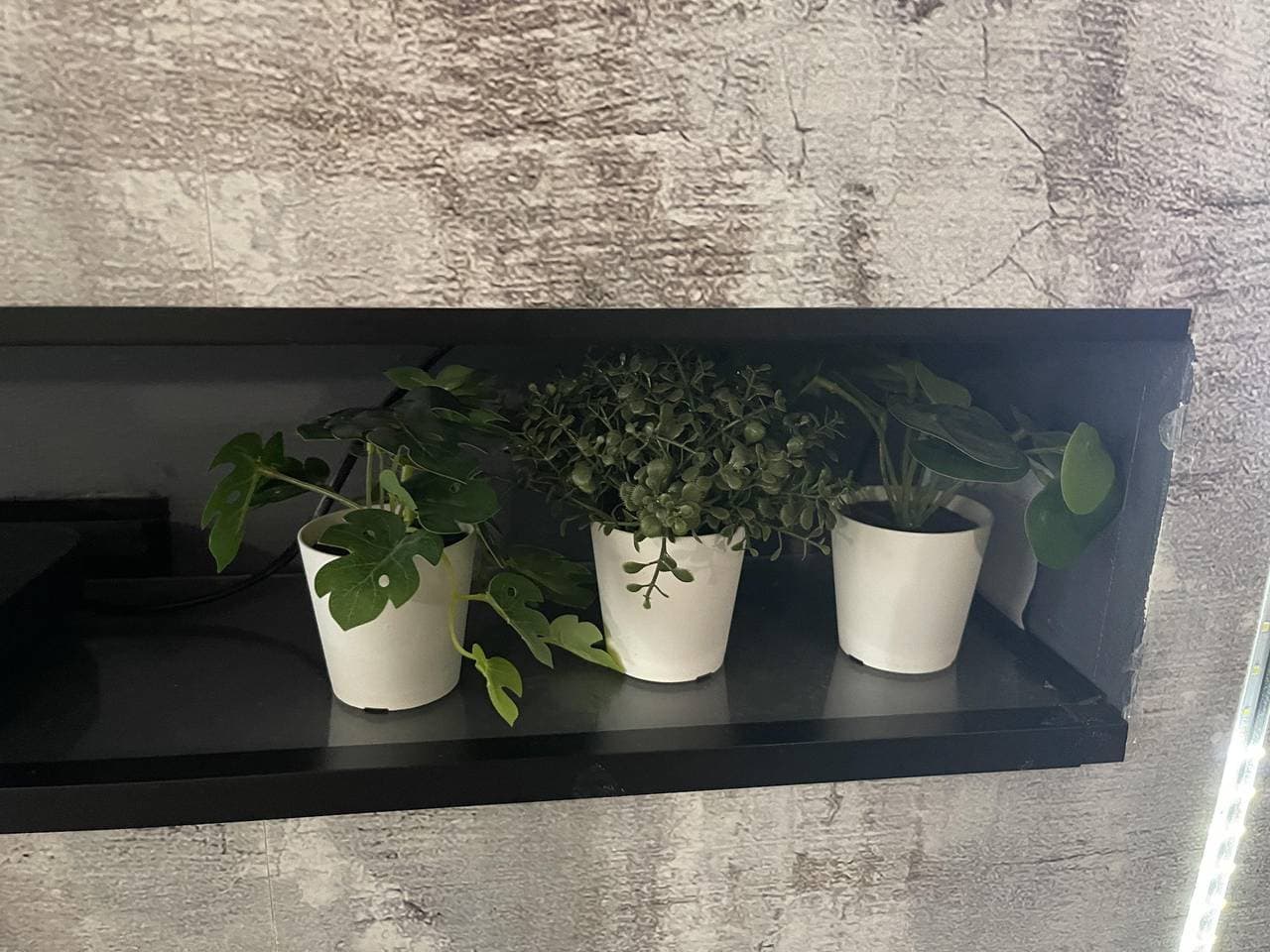 Foto 12 von 41: Ferienhaus für 4 Personen mit Terrasse