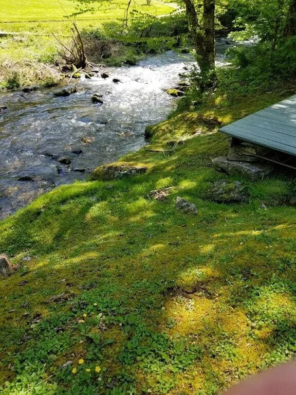 Foto 12 von 42: Urig, friedlich und Creekside!  Alarka friedliche Nebenfluss-Kabine - Bryson City