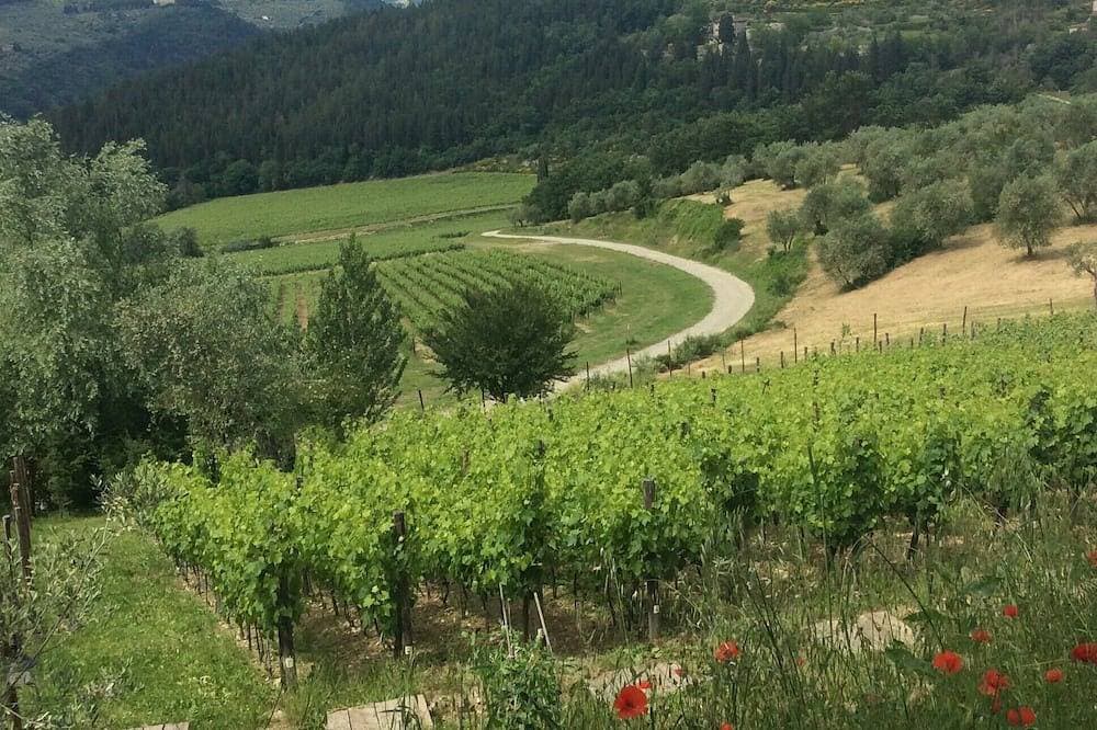 Foto 13 von 23: Vineyard cottage, 30 minutes to Florence