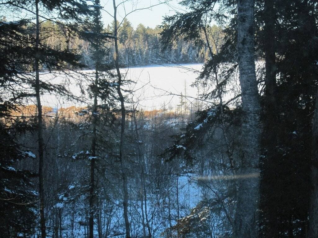 Foto 11 von 30: White Pine Retreat - Neu - Wilderness Escape im Superior National Forest