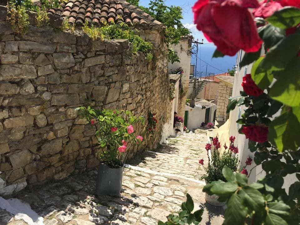 Arvi Boutique Hotel 1