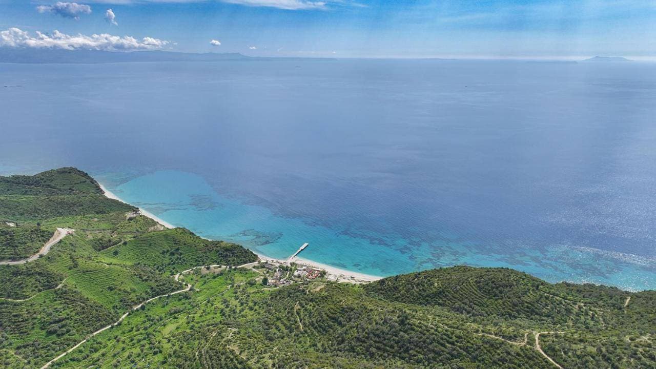 Seaview Bunec 1