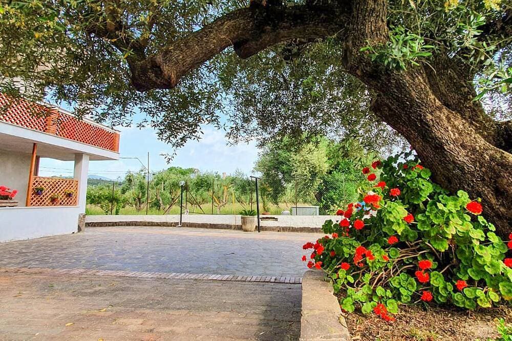 Lovely apartment in Casal Velino with WiFi 1