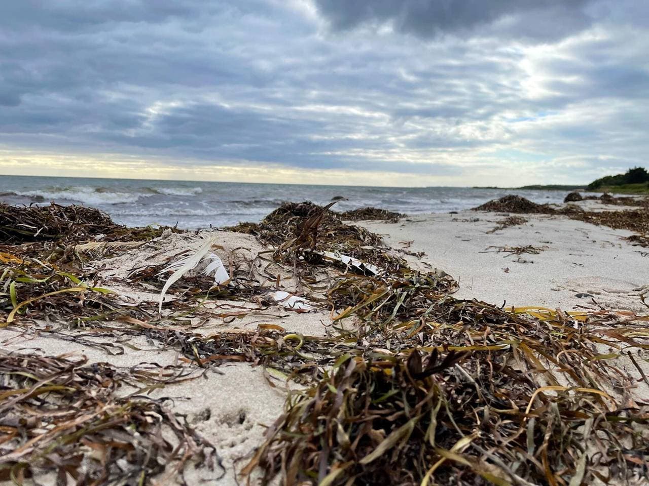 Foto 11 von 40: Gemütliches Sommerhaus in der Nähe von Ore Strand