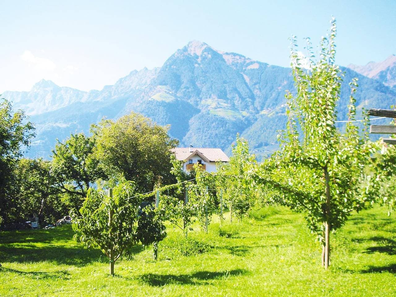 Foto 10 von 28: Wohnung in Dorf Tirol nahe Spronser Seen