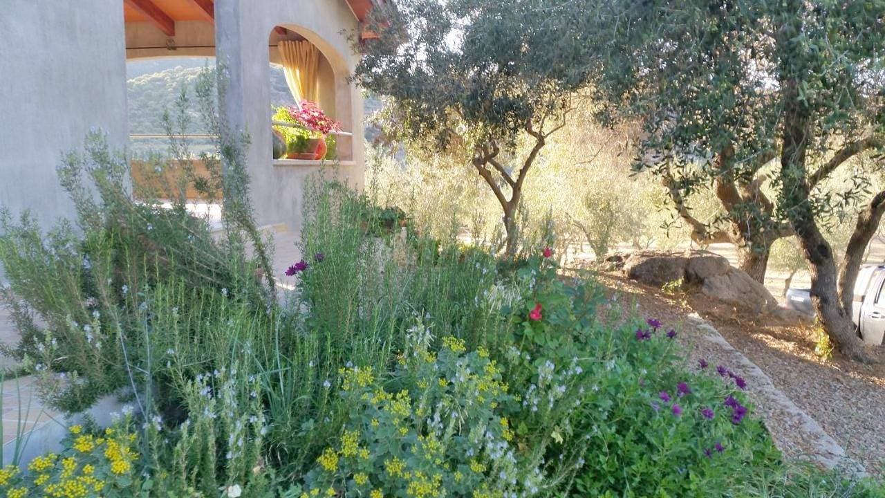 Foto 5 von 35: Holiday Home
