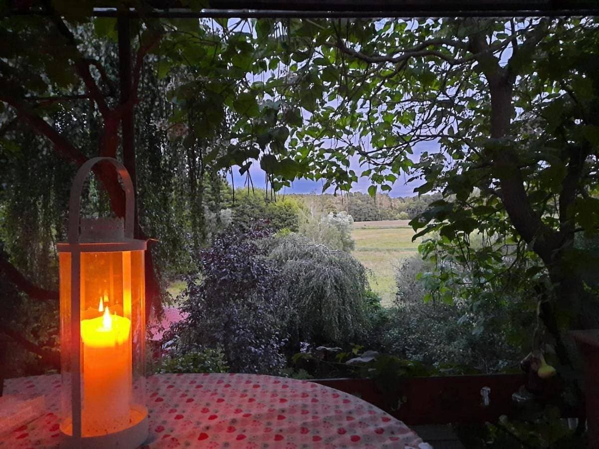 Haus im Grünen Meer 1