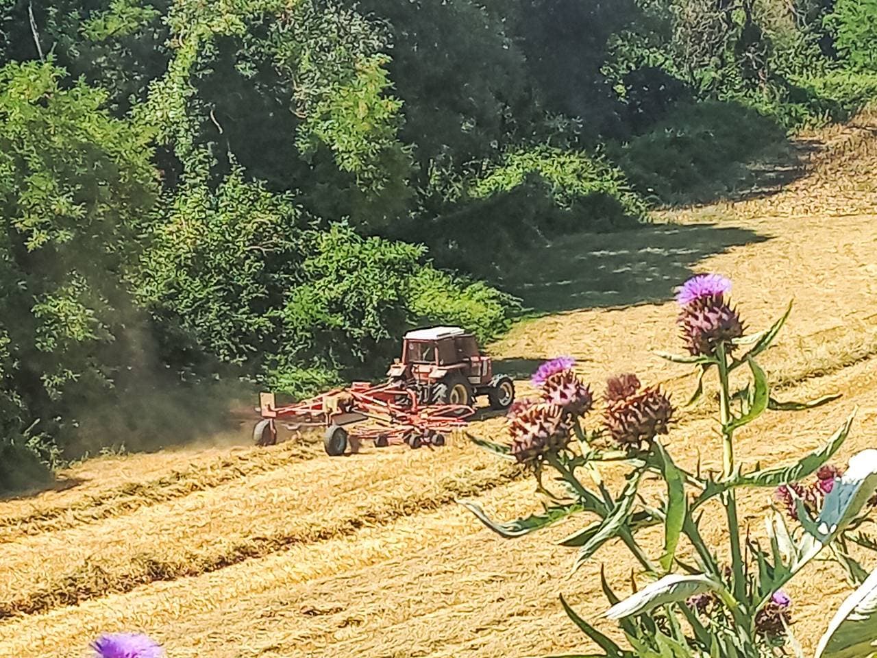 Foto 2 von 32: Rustikale Eleganz mit Blick auf die umbrische Landschaft