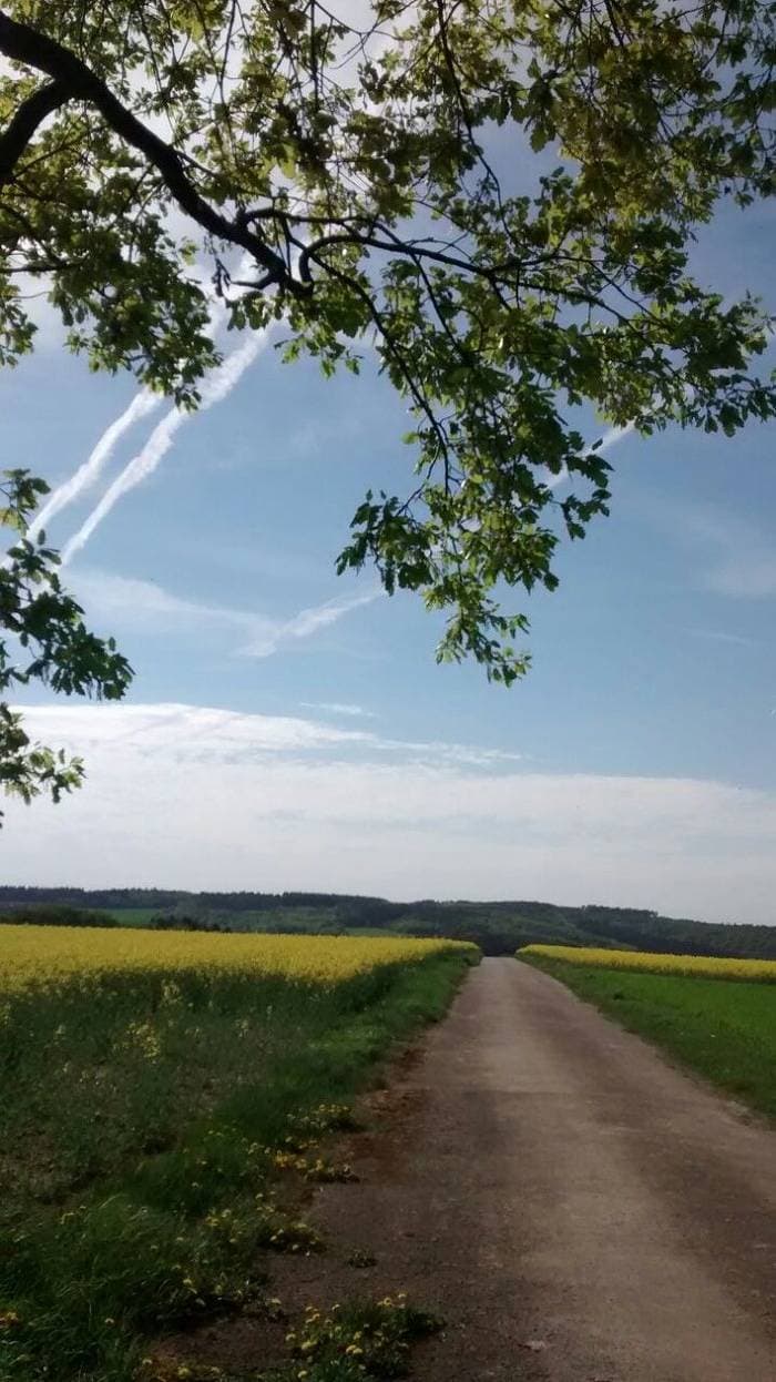 Foto 13 von 18: Ferienwohnung Otto