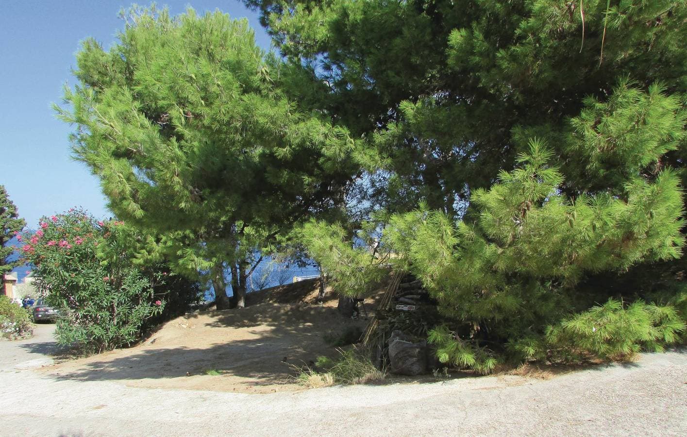 Foto 9 von 13: Appartement am Strand mit Parkplatz und Terrasse