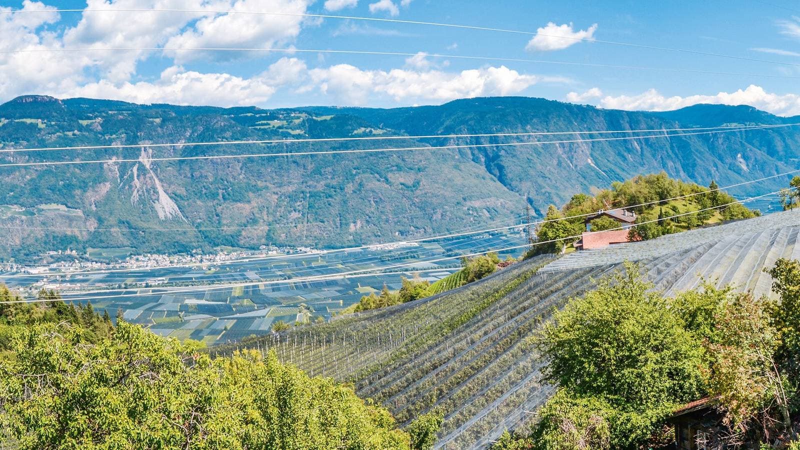 Foto 6 von 28: Ferienwohnung 'Residenz Sonnegg 4' mit Bergblick, Gemeinschaftspool und WLAN