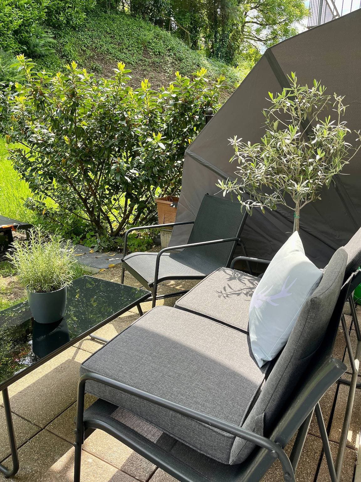 Foto 5 von 22: Ferienwohnung 'Coucou - Nest Im Schwarzwald' mit privater Terrasse