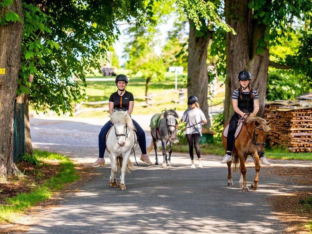 Foto 4 von 30: Ferienhof Domäne Groschwitz - Schäferwagen 18 Fuchsbau
