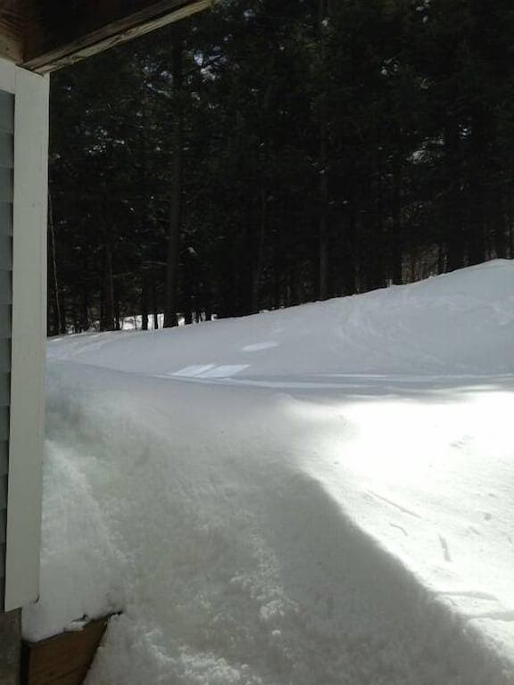 Foto 3 von 26: Seasons On Mount Snow - Ski-in / Ski-out