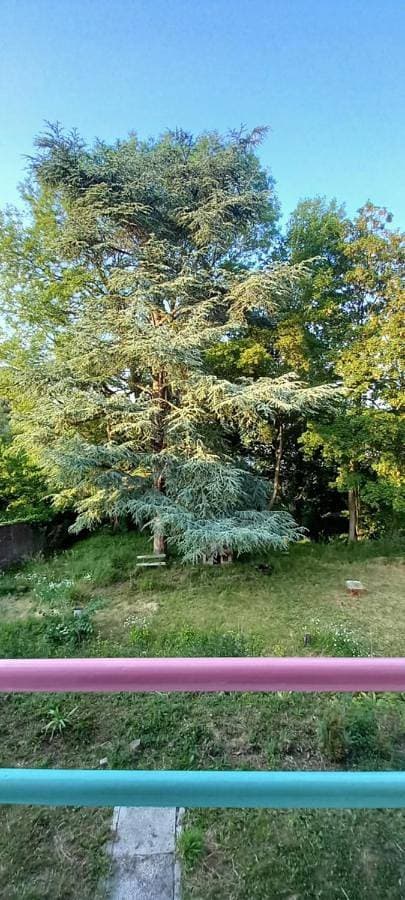 Foto 4 von 14: Double Room with Garden View