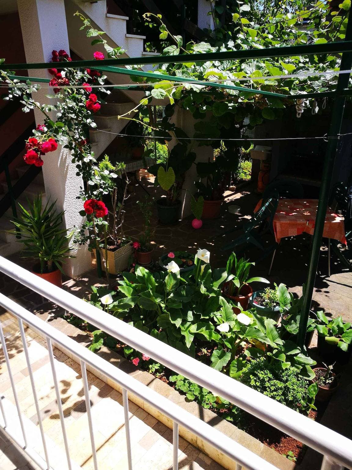 Foto 8 von 23: Ferienwohnung mit Terrasse