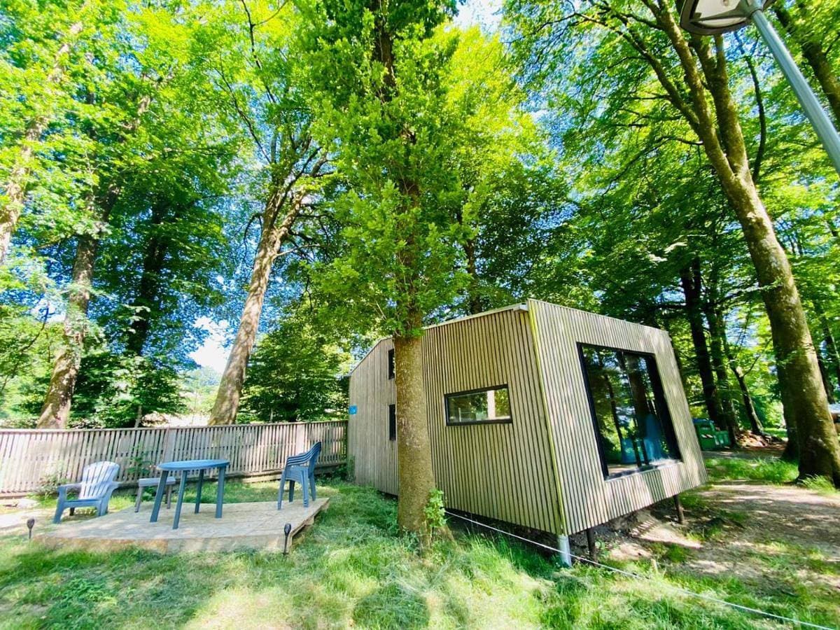 Foto 3 von 23: Wooden lodge with terrace
