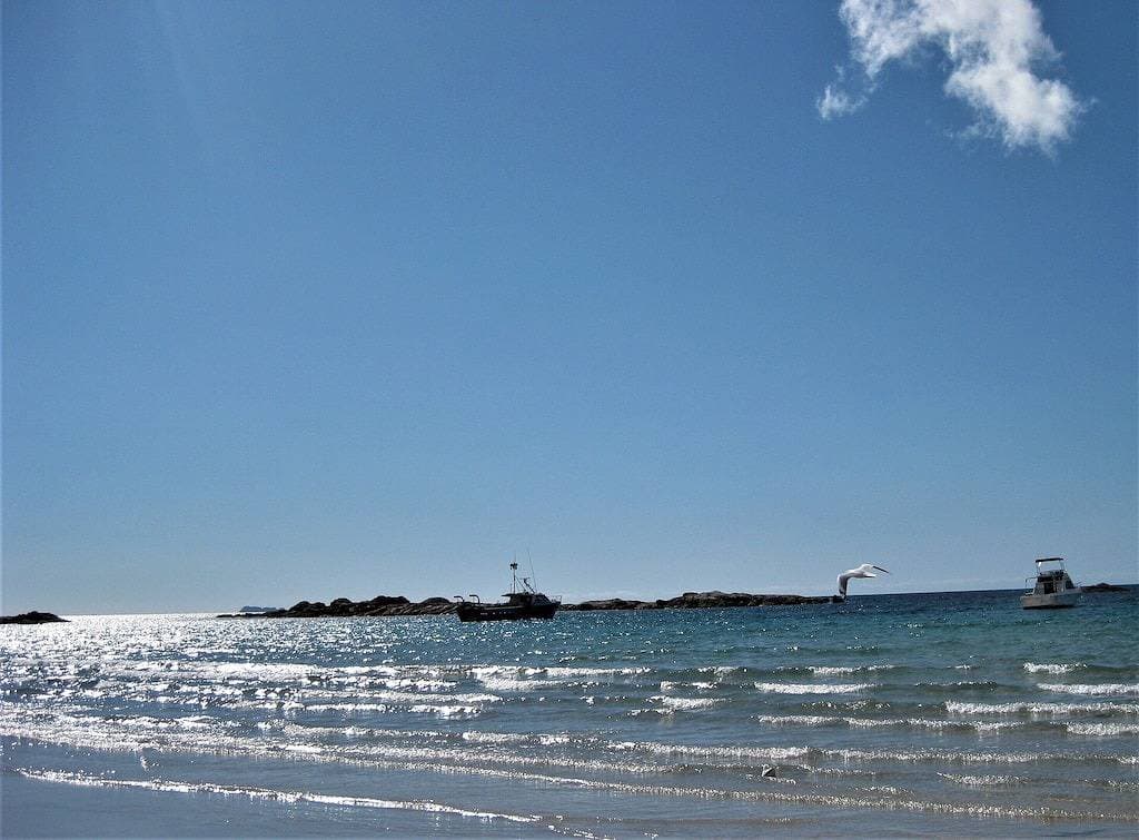 Foto 12 von 30: Albies Cottage: Hübsches, abgelegenes Holzhaus in einem Buschblock am Meer