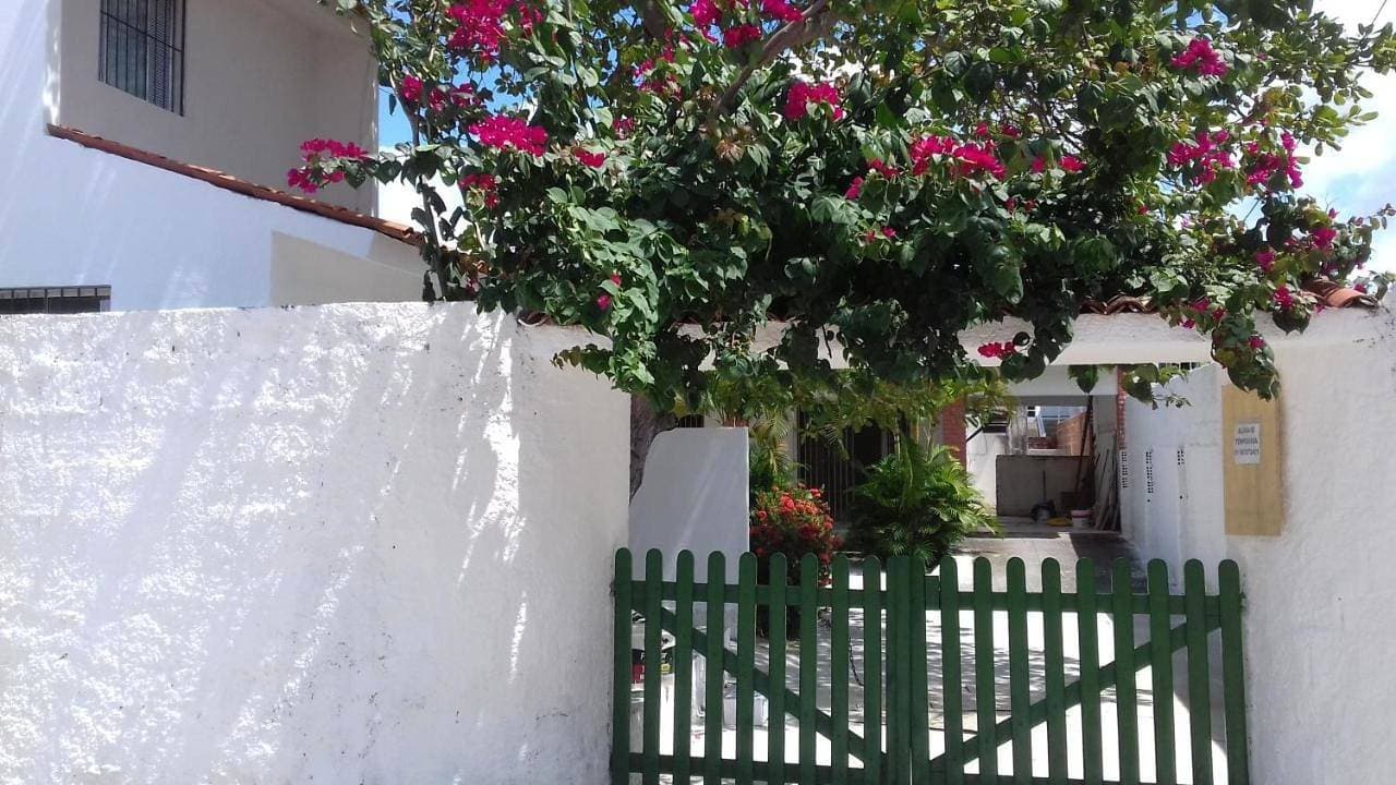 Casa da Árvore 1