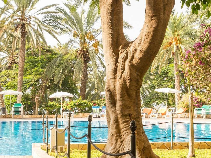 Pierre & Vacances Résidence Marazul del Sur - Wohnung 4 personen - Wohnung 4 Personen - 1 Schlafzimm... 1