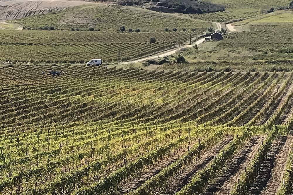 Foto 9 von 11: Voll ausgestattetes Studio im Herzen des Weinbergs