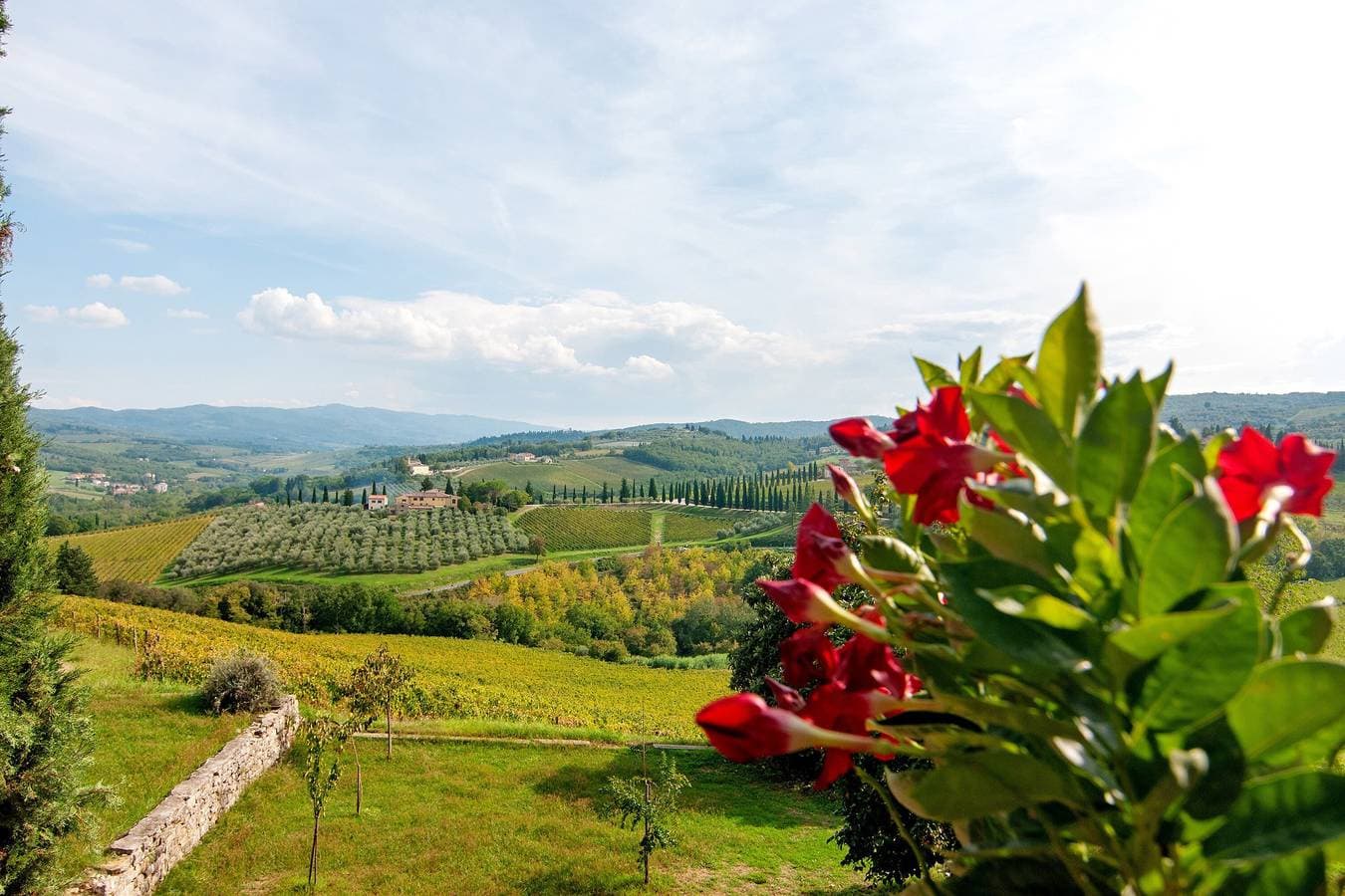 Foto 10 von 40: Tenuta Branca – Solatio Apartment Komfort und Pool in den Chianti-Hügeln