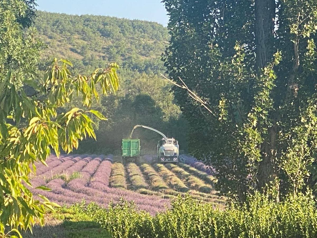 Gîte Le Tramontane Meublé de tourisme 4 étoiles Le Moulin de Prédelles 1