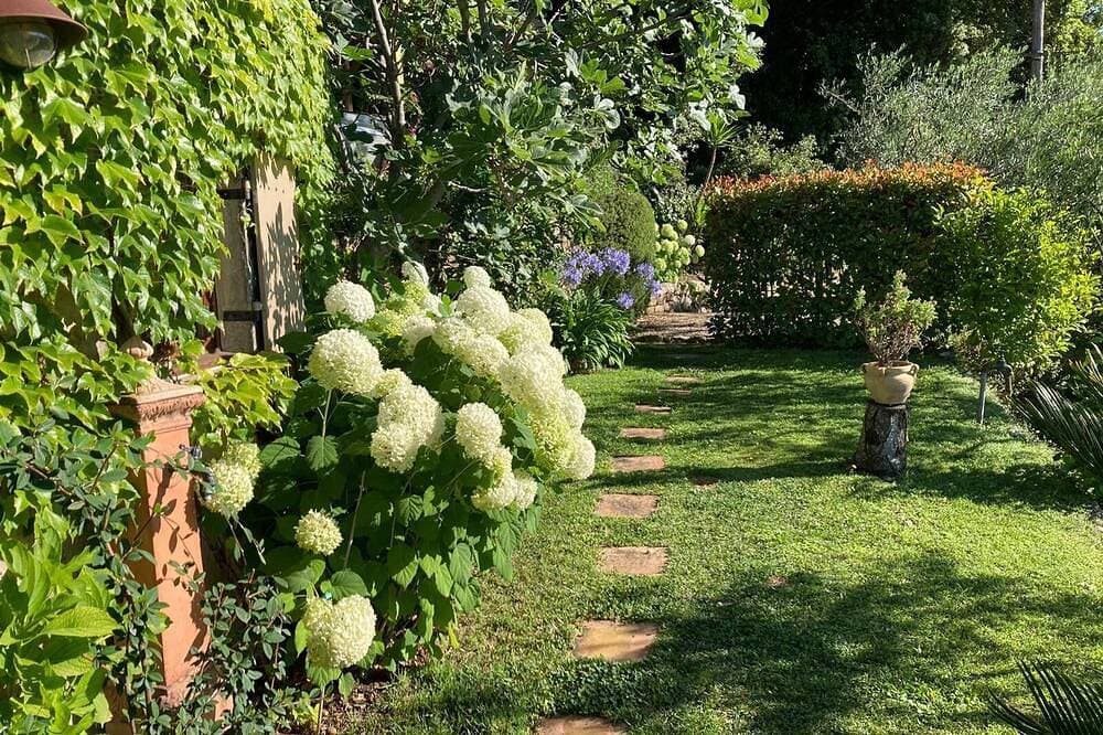 Foto 12 von 27: Studio - Grasse mit Garten