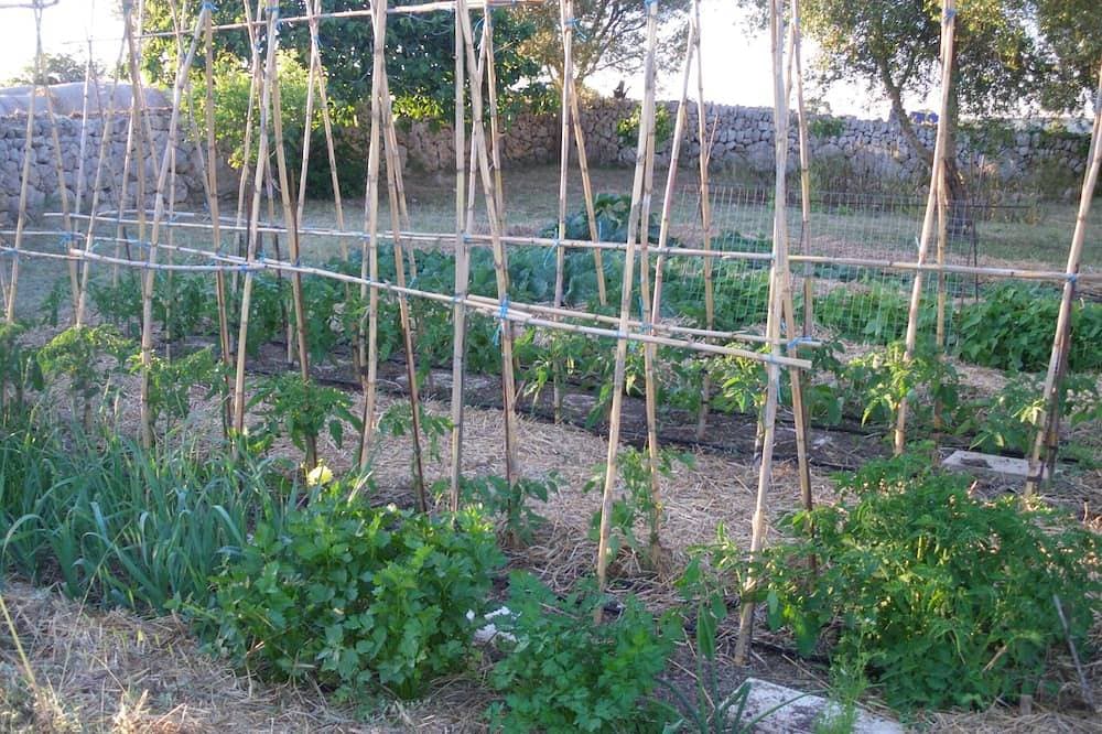 Foto 9 von 25: Sa Soll, Sohn Ramonet Petit