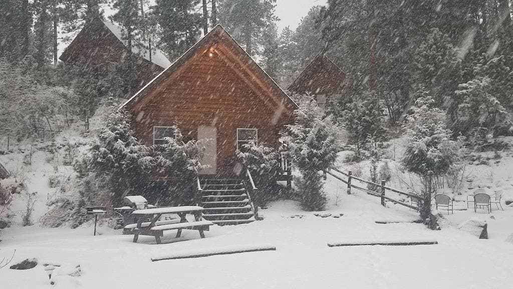 Foto 9 von 14: Hunters Haven # 3 Custom Built Blockhaus, umrahmt von Black Hills National Forest